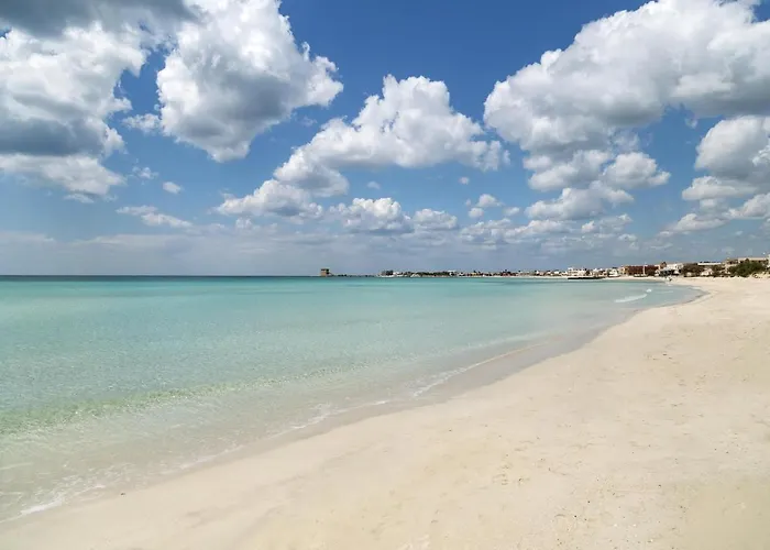 Iolanda By Barbarhouse